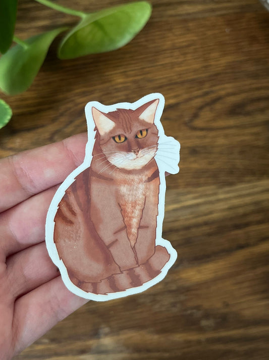 Simba, the cat - Diecut sticker