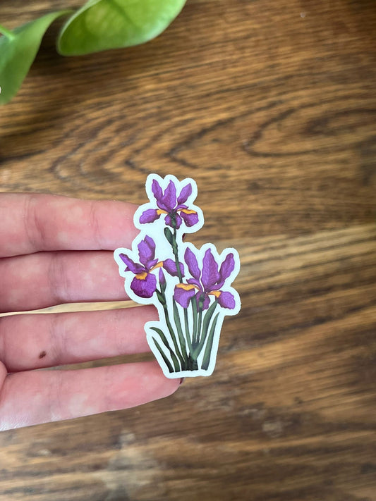 Iris flower - Diecut